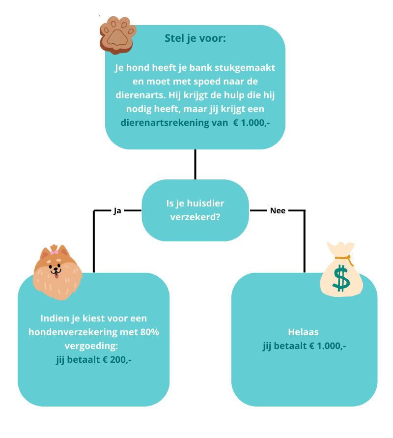 hoe werkt een hondenverzekering