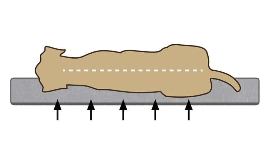 memory foam hondenkussen