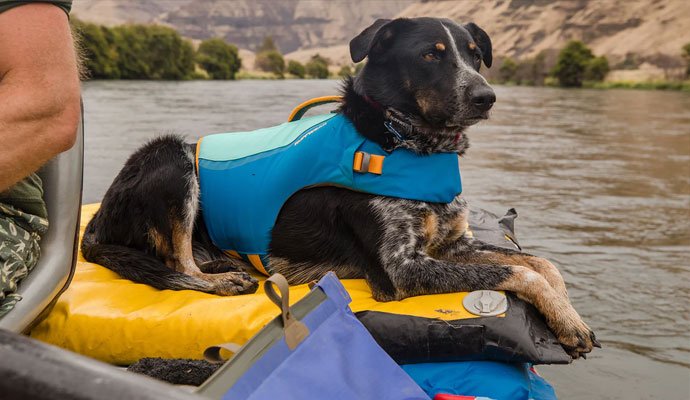 Ruffwear hondenzwemvest