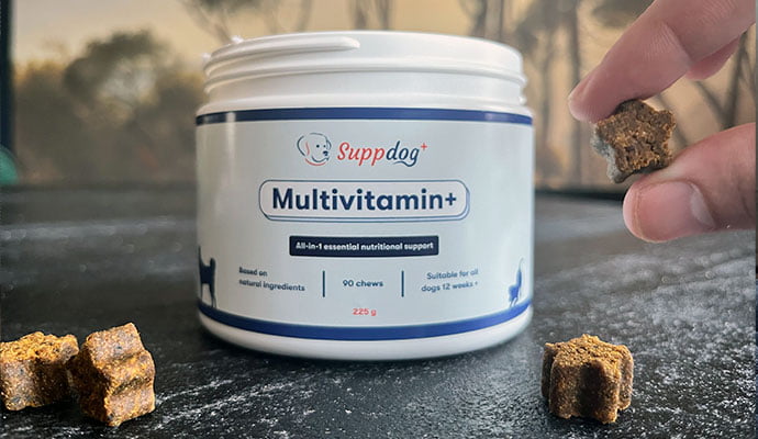 suppdog multivitamine