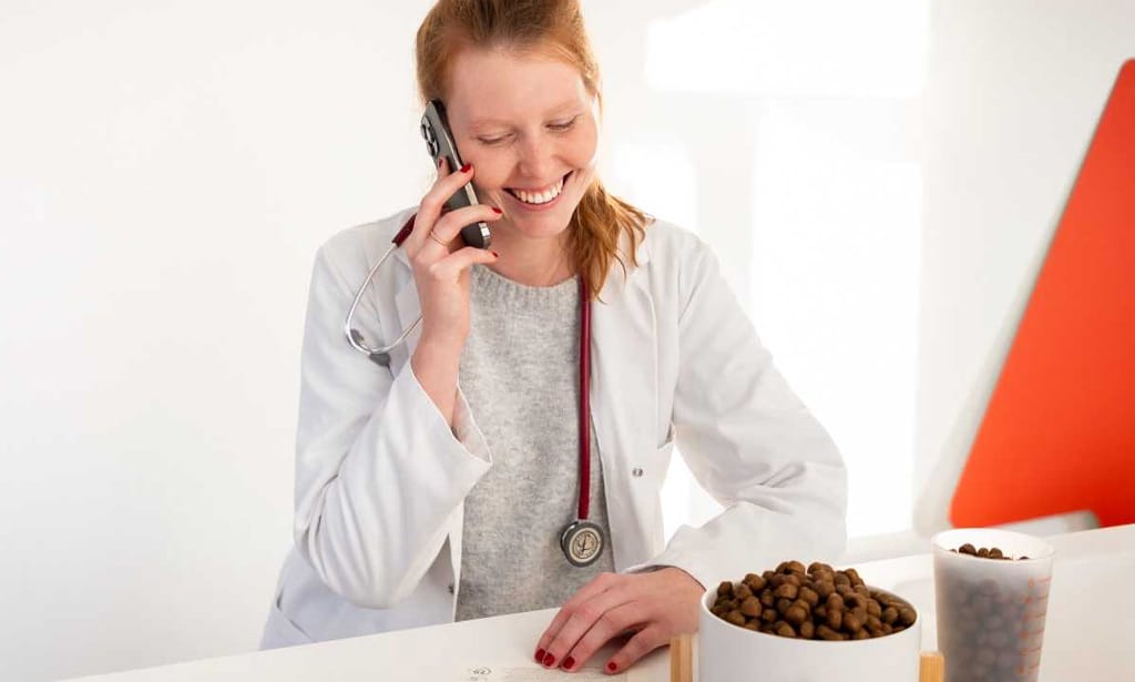 just russel dierenarts