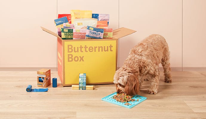 butternut box hondenvoer op maat