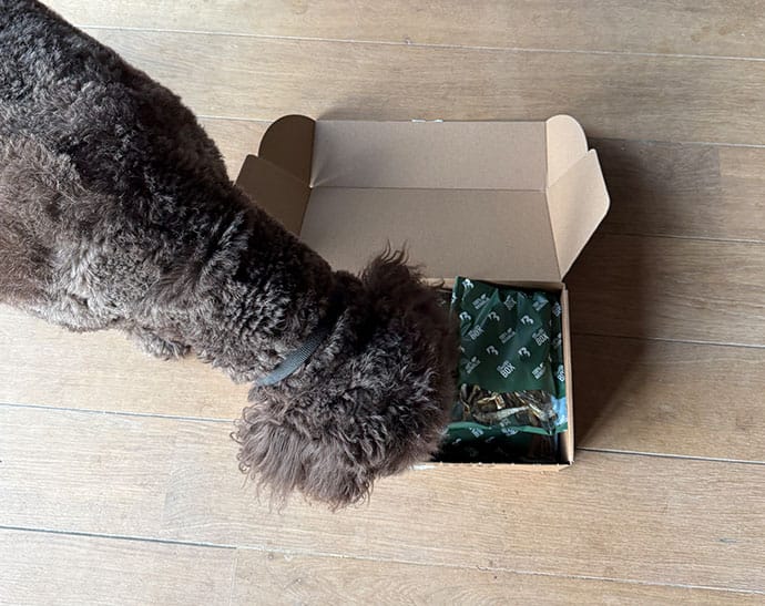 Bellobox 5