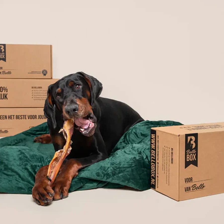 bellobox kortingscode uitgelicht