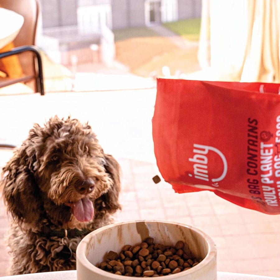 insecten hondenvoer uitgelicht