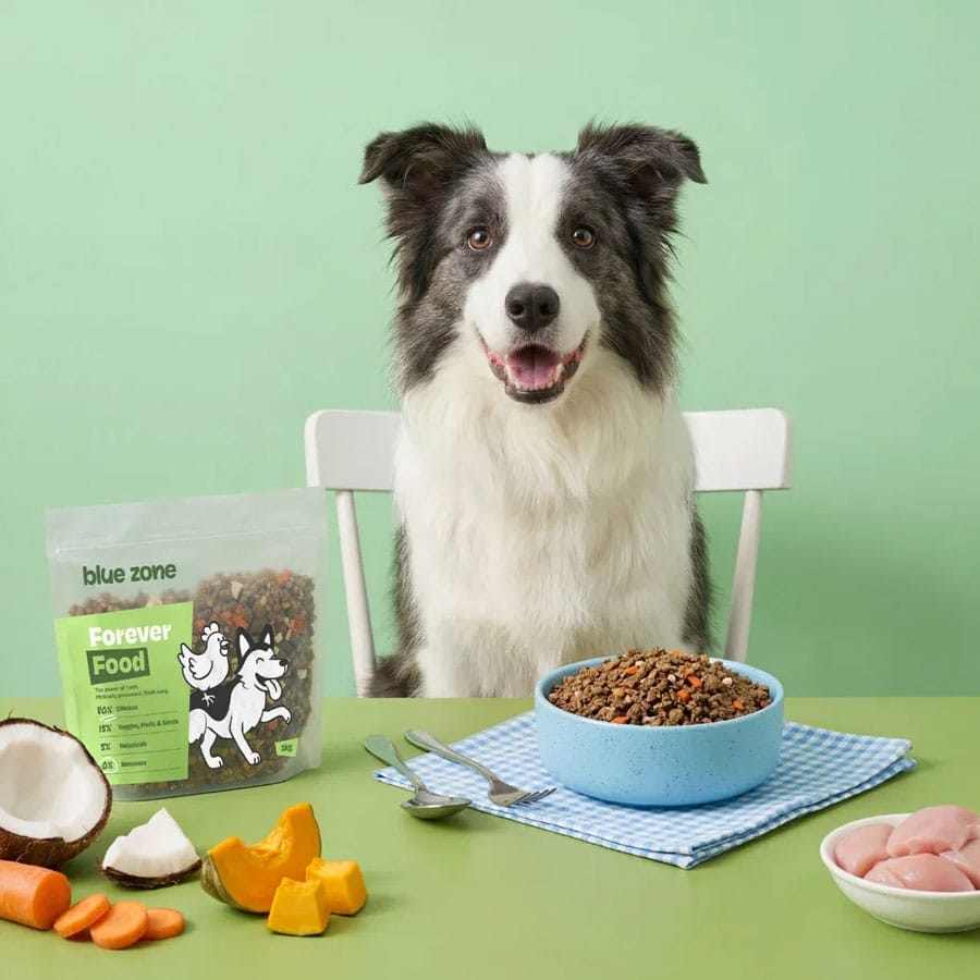 Blue zone pets kortingscode vierkant