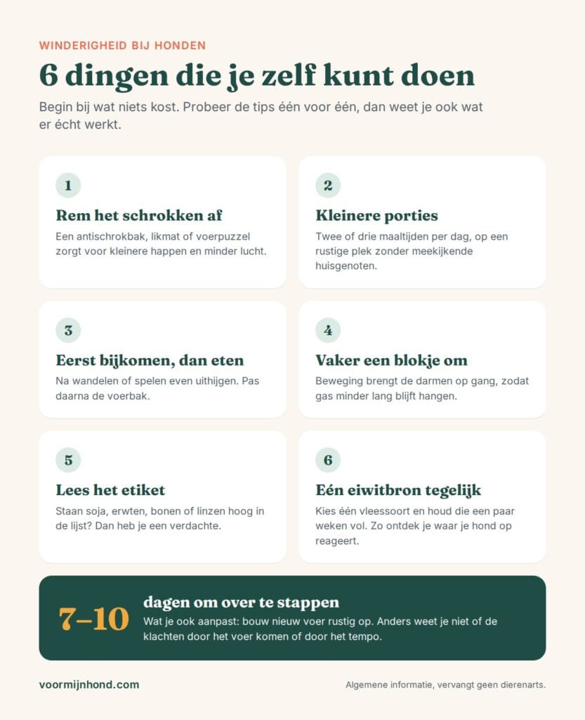 tips tegen scheten hond